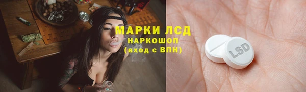 винт Майский