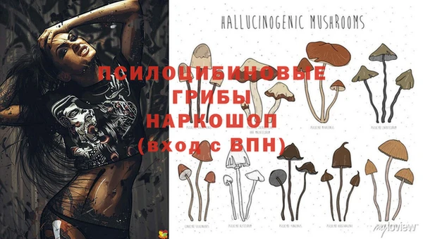 винт Майский