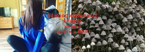 винт Майский