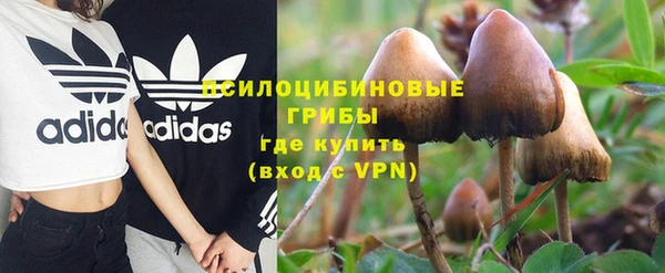винт Майский