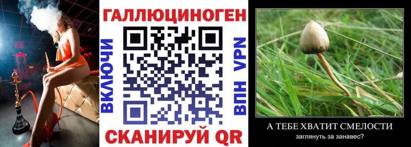 Галлюциногенные грибы Psilocybine cubensis  Безенчук 